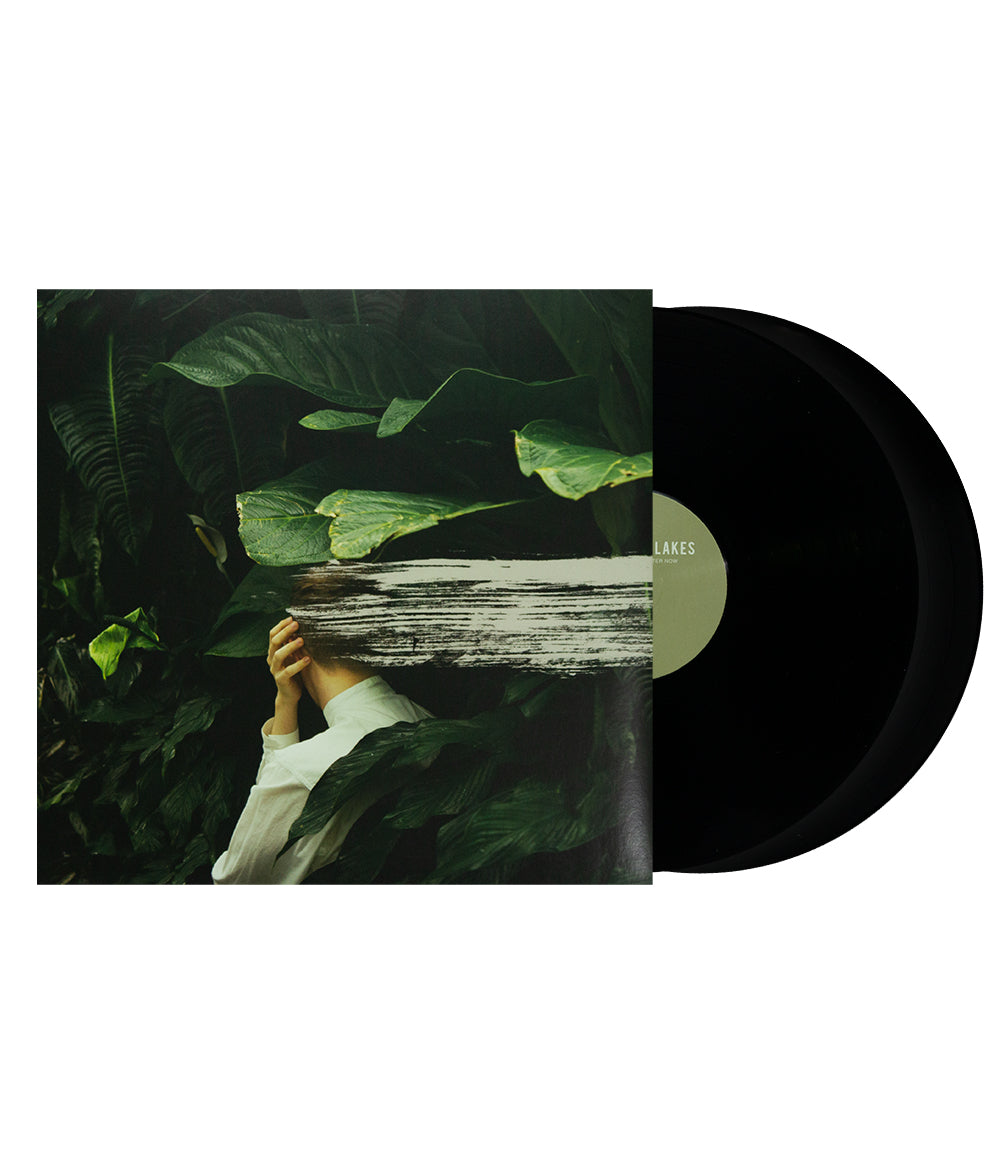 From Indian Lakes Everything Feels Better Now Vinyl (Black)
